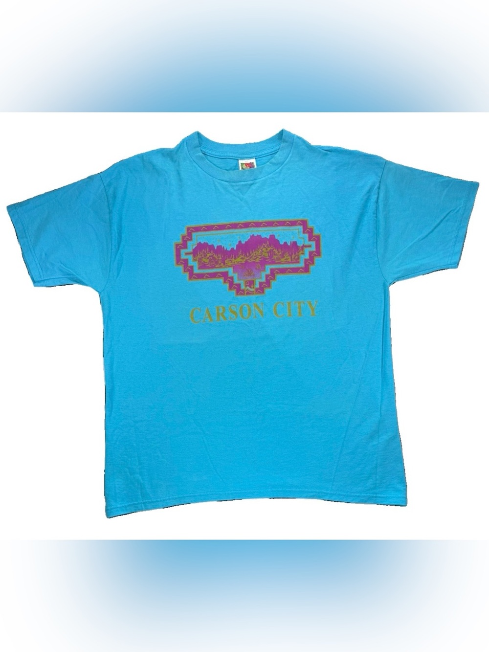 Vintage Carson City Nevada T Shirt Men's XL Blue Desert Fruit of the Loom Retro